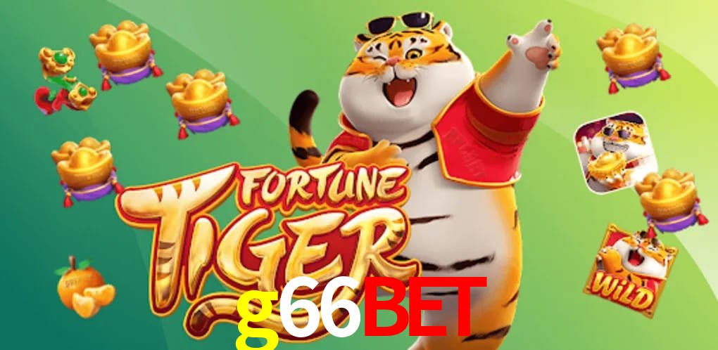 Experiência VIP g66bet